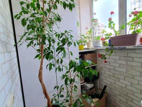 квартира по адресу Сергея Данченко ул., 3