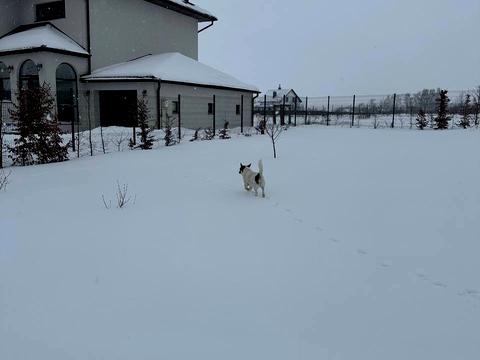 дом по адресу Подильна