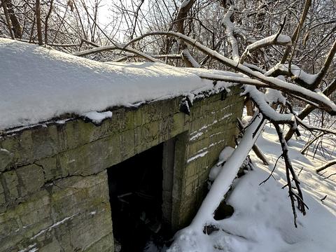 участок по адресу Річна