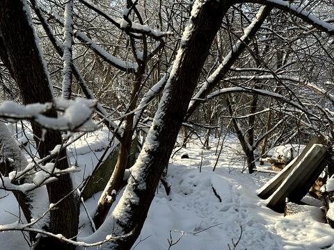 участок по адресу Річна