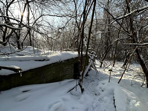 участок по адресу Річна