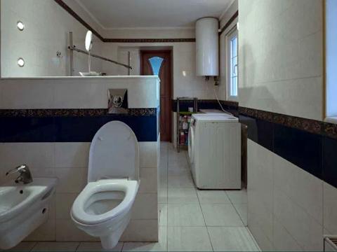 дом по адресу Сергея Шелухина ул. (Александра Невского)