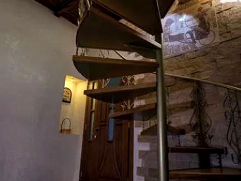 дом по адресу Сергея Шелухина ул. (Александра Невского)