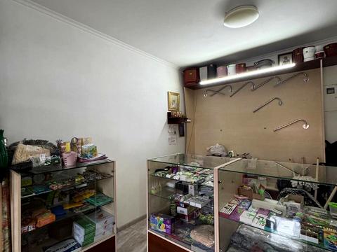 комерційна за адресою Алли Горської вул. (Чайковського), 83