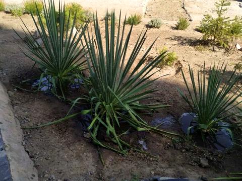 квартира по адресу Тбилисская ул., 23