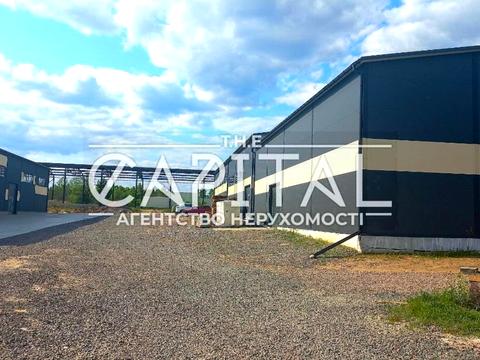 комерційна за адресою Соборна, 12