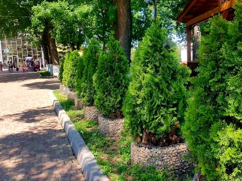 дом по адресу Фруктовая ул., 11