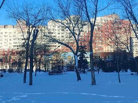 квартира за адресою Миколи Закревського вул., 19