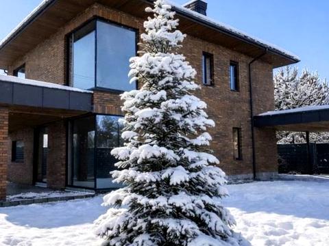 будинок за адресою Березова вул.