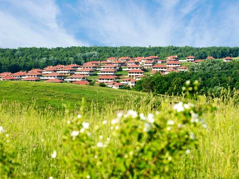 будинок за адресою Каштановий провулок