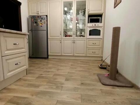 квартира по адресу Осипа Сорохтея ул., 11