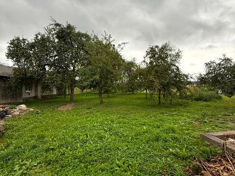 дом по адресу Шевченка, 23