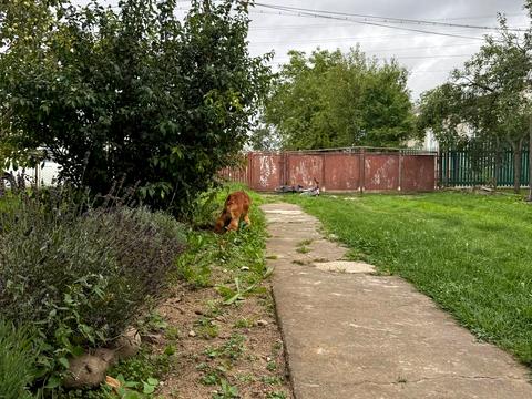 дом по адресу Шевченка, 23