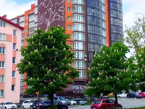 квартира за адресою Кульпарківська вул., 230-А