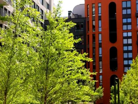 квартира по адресу Братьев Шеметов ул., 10/8