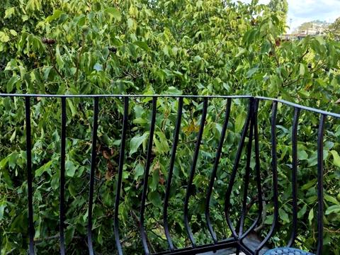 квартира по адресу Семинарская ул., 18/20