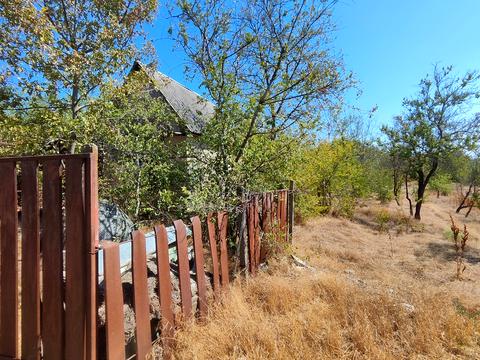 ділянка за адресою с. Доброолександрівка, Царська