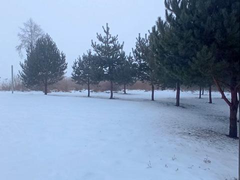 дом по адресу Виноградна