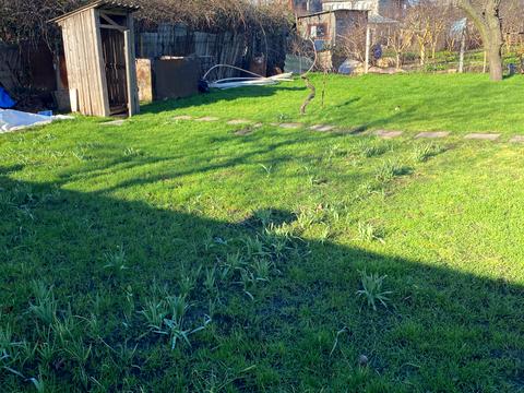 ділянка за адресою смт. Великодолинське, 6 лінія