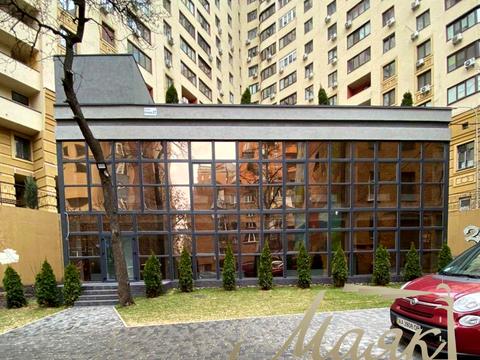 комерційна за адресою Золотоустівська вул., 53а