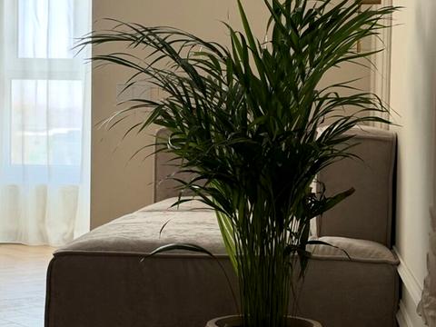 квартира за адресою Немирівське шосе, (Будинок 1)