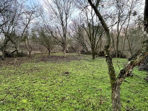 ділянка за адресою 