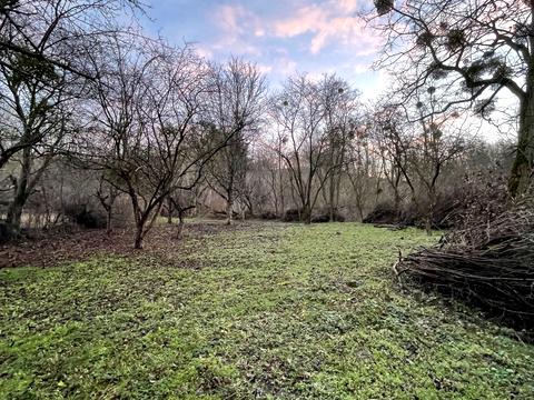 ділянка за адресою 