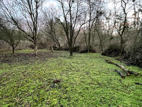 ділянка за адресою 