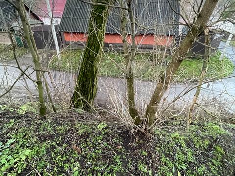 ділянка за адресою 