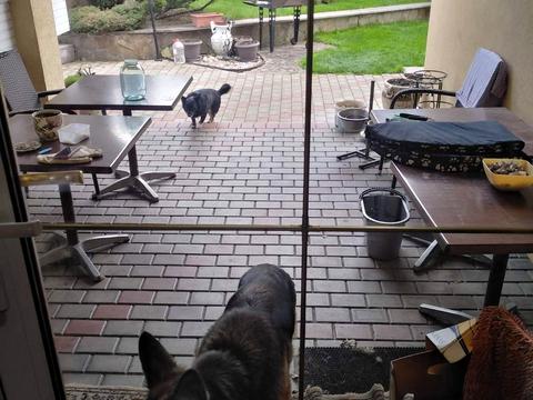 дом по адресу Короленко ул., 45