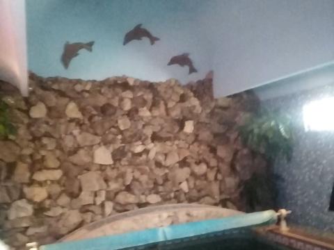 дом по адресу Саєнка пер., 2