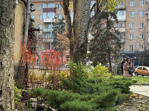 квартира по адресу Центральный просп. (Лермонтова), 3