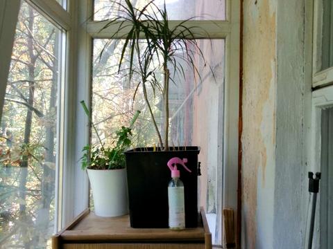 квартира по адресу Петра Калнышевского просп. (Косіора), 53