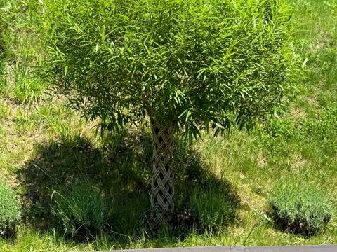 дом по адресу Старокостянтинівське шоссе, 2/1И