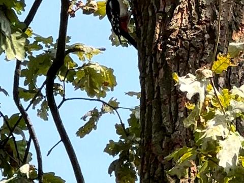 будинок за адресою Юрія Кондратюка вул.