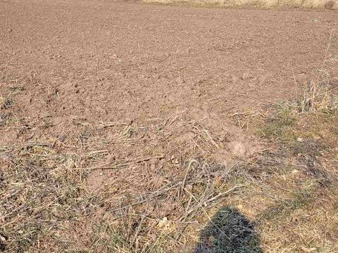 участок по адресу Лесі Українки