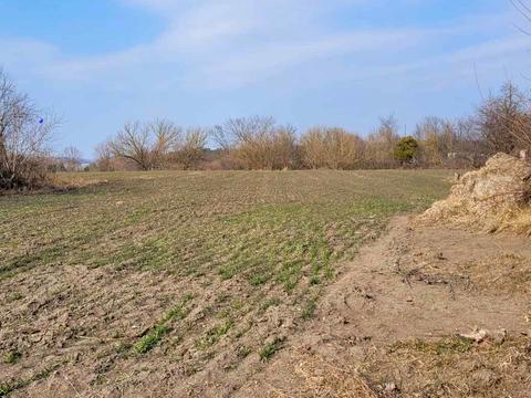 участок по адресу Недоги