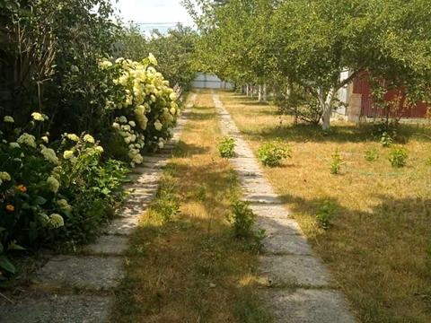 будинок за адресою Гринцевича