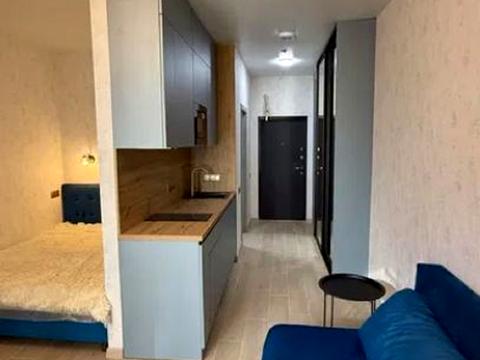 квартира по адресу Курортный пер., (Будинок)