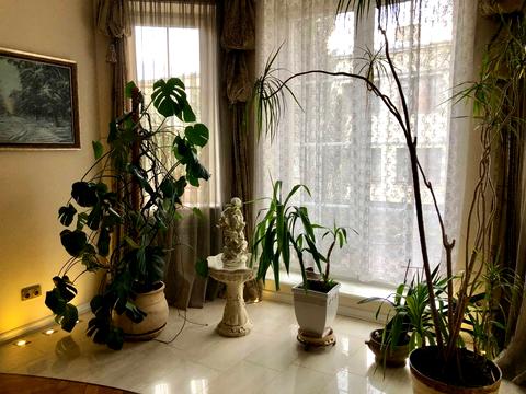 квартира за адресою Мар'яна Панчишина вул., 12