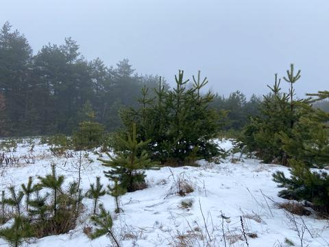 участок по адресу антонова