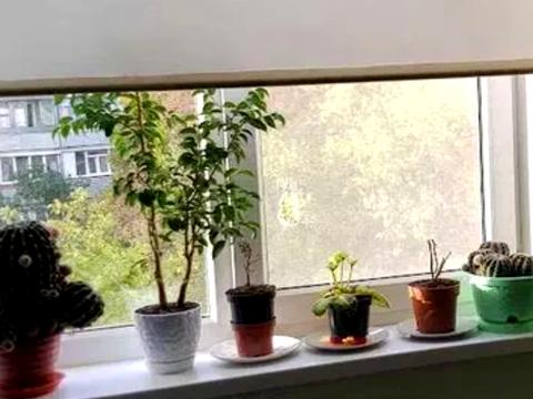 квартира по адресу Александровский просп. (Косиора), 122а