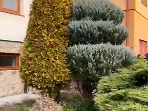 дом по адресу Вишнева