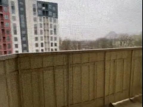 квартира по адресу Васильковая ул. (Иванова), 4б