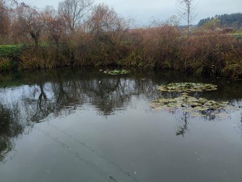 ділянка за адресою Набережна вул., 32а