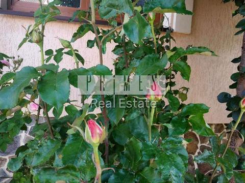 дом по адресу Сеноманский пер.