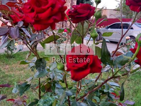 дом по адресу Сеноманский пер.