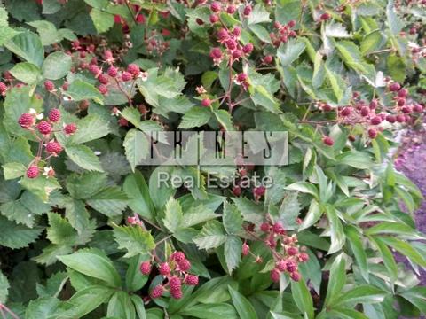 дом по адресу Сеноманский пер.