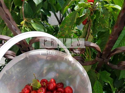 дом по адресу Сеноманский пер.