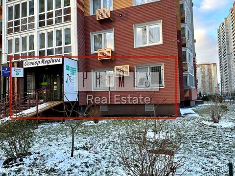 комерційна за адресою Єлизавети Чавдар вул., 7г